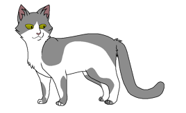 Дроковница окрас