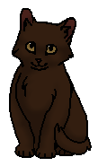 Жабик (котёнок)