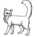 Метелица (воительница)