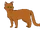 Сычезвёзд (Небесное племя)