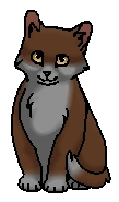 Кисличка (котёнок)