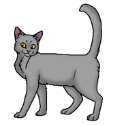 Тучегон (воитель)