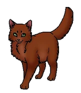 Остролап (оруженосец)