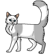 Дождевушка (воительница).png (26 КБ) Дождевушка (воительница)