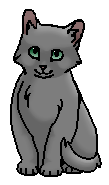 Туманка (котёнок)