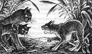 Вербочка с сестрой узнают, кто их отец. Из русскоязычного издания «Обещание Метеора»