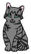 (котёнок)