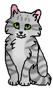 (котёнок)