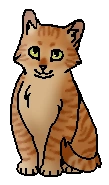 Стебелёк (?) (котёнок)