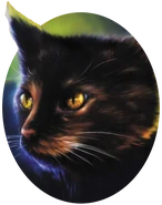 Ярохвост Долг Ярохвоста обложка.png (175 Кб) Ярохвост Долг Ярохвоста обложка