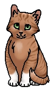 Куничка (котёнок).png (17 КБ) (котёнок)