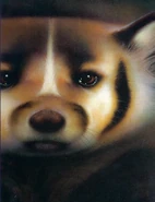 Полночь Память племён англ.png (998 КБ) Из англоязычного издания «Памяти племён»