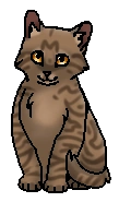 Берёзовик (котёнок)
