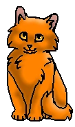 Белочка (котёнок)