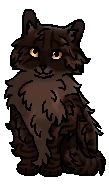 Клочишка (котёнок)