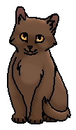 Нектаринка (?) (котенок)