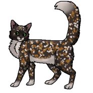 Пестроцветик (воительница)