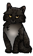 Можжевельничек (котёнок)