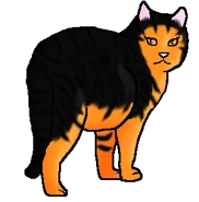 Саламандра (королева)