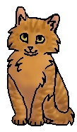 Одуванчик (котёнок)