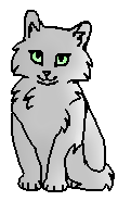 Цветинка (котёнок)