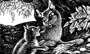 Щербиночка помогает Полыннице с травами. Из русскоязычного издания «Тайна Щербатой»