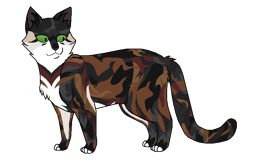 Рыжинка окрас