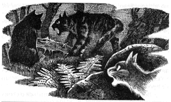 Искролапка подслушивает Звездоцапа и Когтегрива