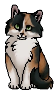 Вихринка (котёнок)