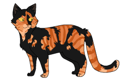 Саламандра окрас