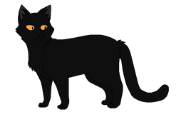 Быстрокрыл окрас