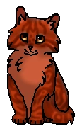 Рябинка (?) (котёнок)