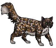 Пестроцветик (одиночка)