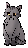Речка (котёнок).png (12 КБ) Речка (?) (котёнок)
