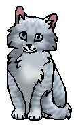 Булыжничек (котёнок)
