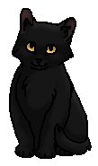 Солнечная Тень (котёнок)
