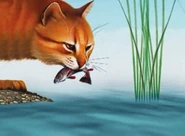 Пятнистая звезда ймала рыбу.png (99 Кб) Пятнистая звезда ймала рыбу