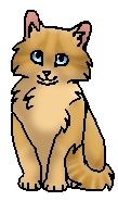 Корешочек (?) (котёнок)