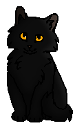 Овражек (котёнок)