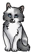 Клубочек (?) (котёнок)