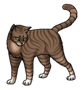 Нежнолистая (звёздный предок)