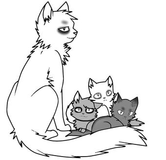 Blog Uchastnika Jake Star Universe Istoriya Semi Psiha Koty Voiteli Viki Fandom