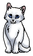 Крошка (котёнок)