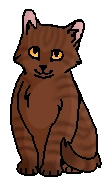 Кудлашка (котёнок)