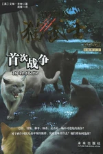 Китайская обложка