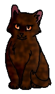 Черепашница (котёнок).png (13 КБ) Черепашечка (?) (котёнок)