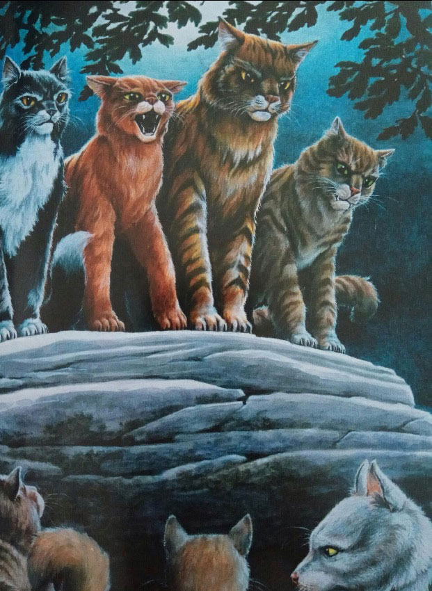 Pin on warrior cats