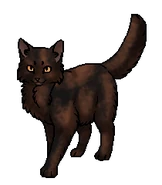 Тенелистая (оруженосец).png (29 КБ) Листолапка (оруженосец)