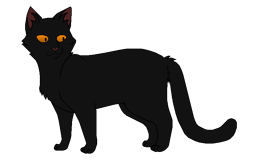 Сумеречница окрас