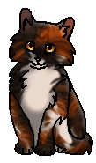 Тучеводная (котёнок).png (23 КБ) Тученька (?) (котёнок)